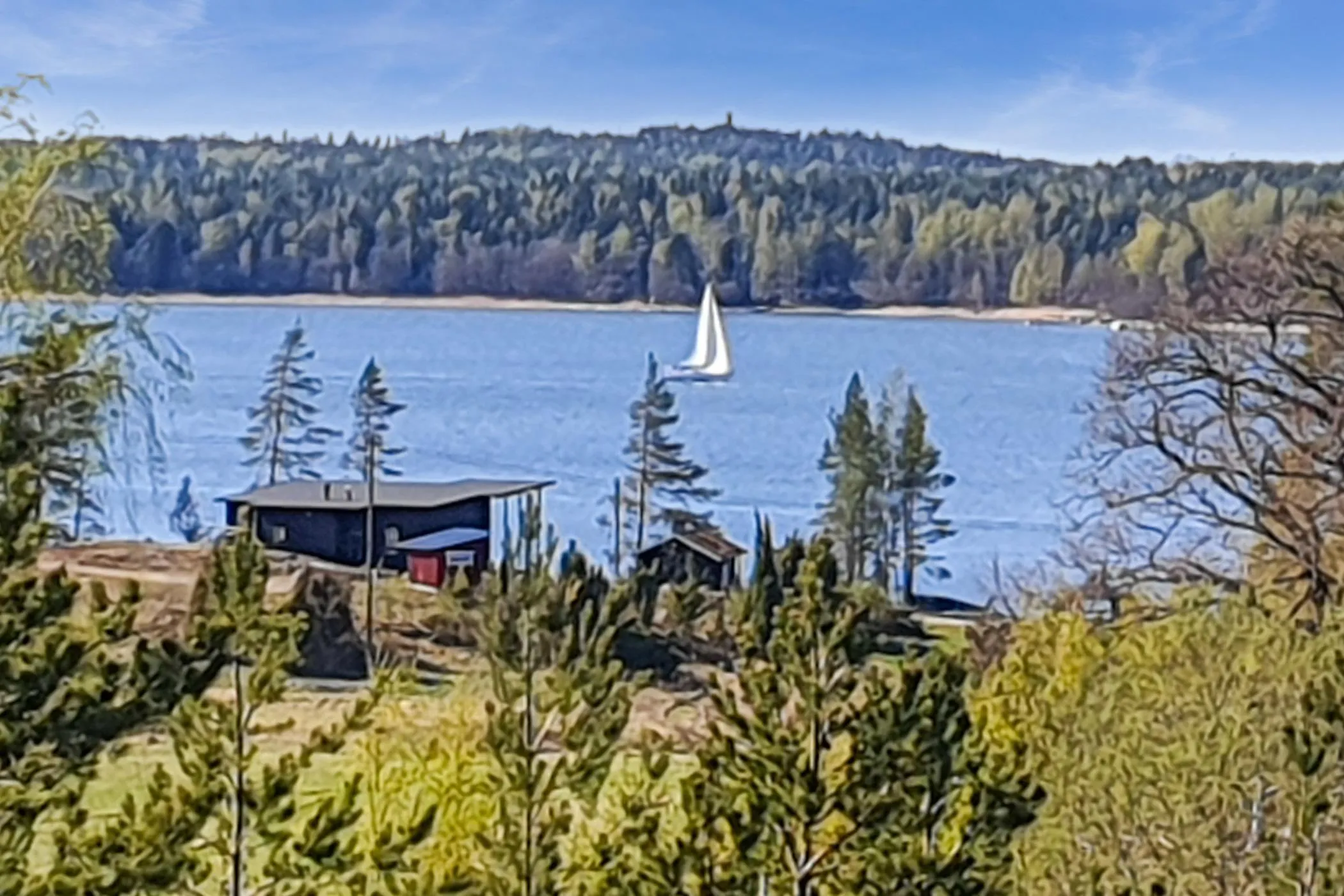 Kotkanpesä – ranta ja ympäristö 2