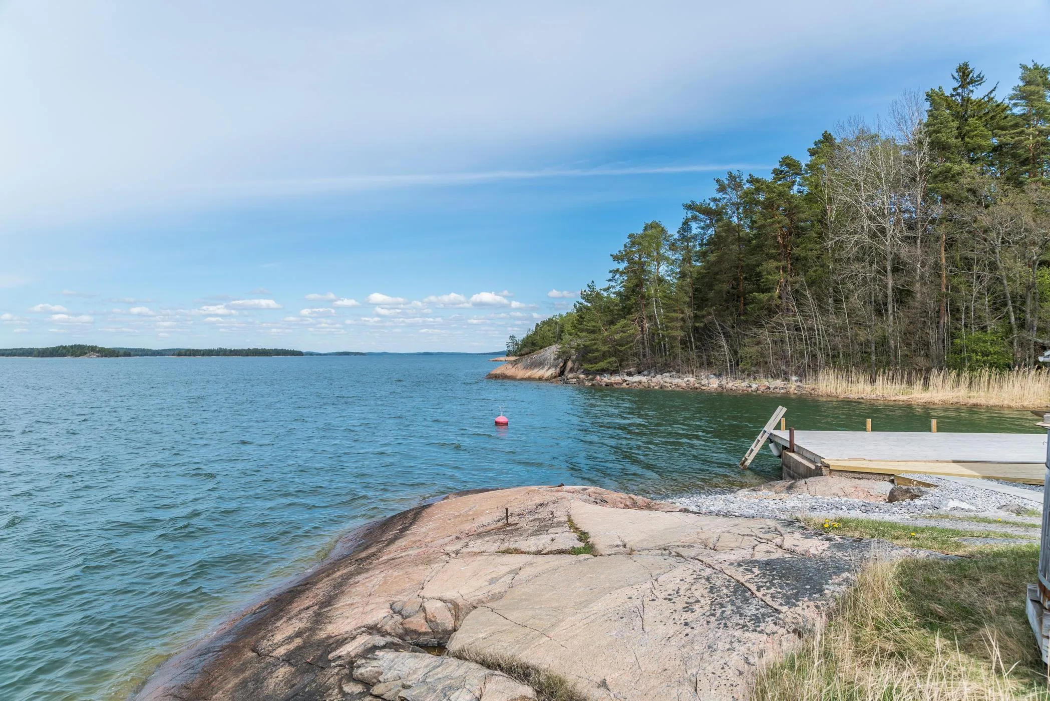 Kotkanpesä – ranta ja ympäristö 6