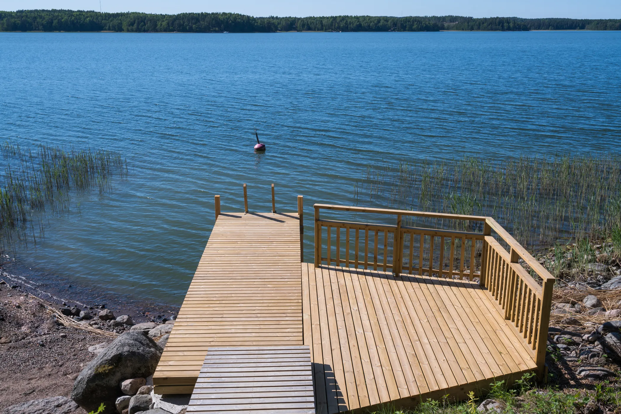 Merikotka – ranta ja ympäristö 4