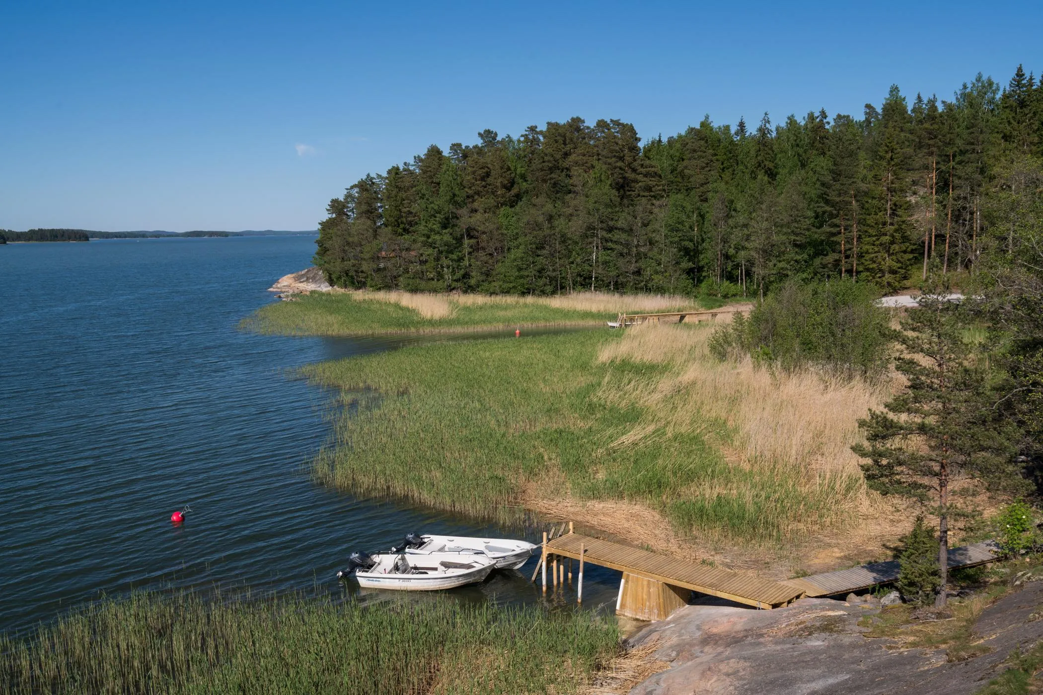 Merimetso – ranta ja ympäristö 3
