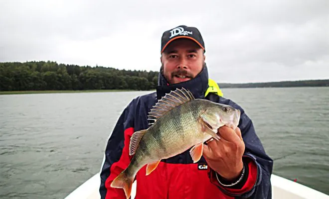 Perch