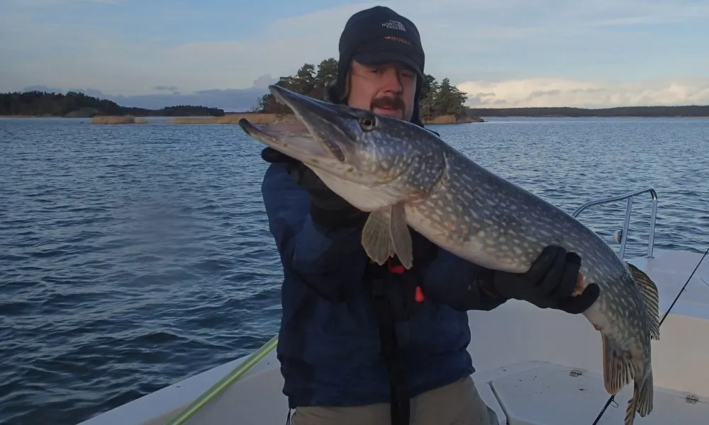 An angler with a large pike in a boat in the archipelago