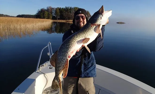 Pike